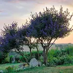 Maison Gasconne, 6 Chambres, Piscine 14x5, Vue Sur Les Vignobles 奥维河畔卡斯泰尔诺