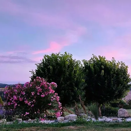 Maison Gasconne, 6 Chambres, Piscine 14x5, Vue Sur Les Vignobles