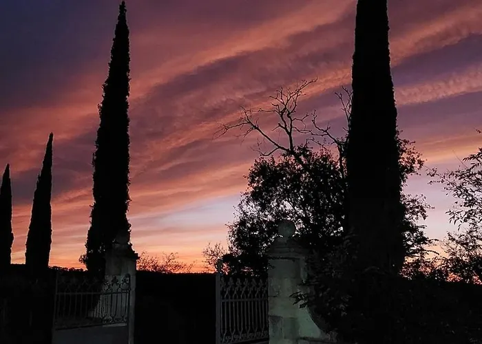 Villa Maison Gasconne, 6 Chambres, Piscine 14x5, Vue Sur Les Vignobles Castelnau-sur-lʼAuvignon