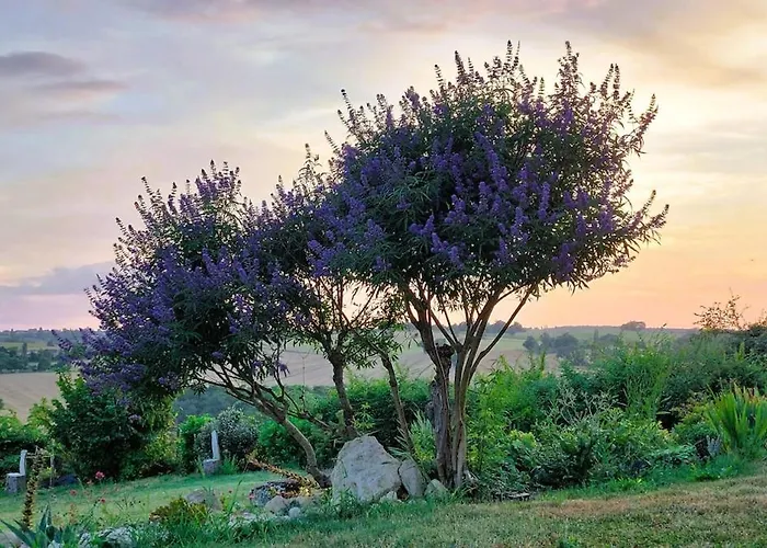 Maison Gasconne, 6 Chambres, Piscine 14x5, Vue Sur Les Vignobles Castelnau-sur-lʼAuvignon