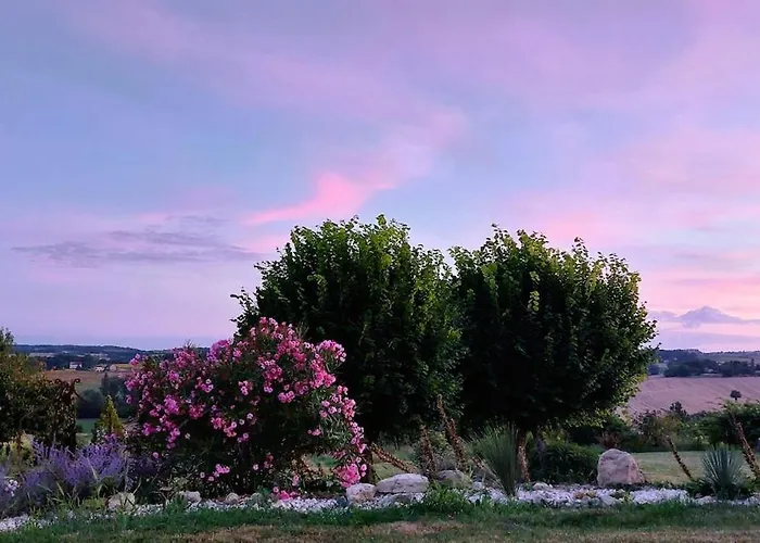 Maison Gasconne, 6 Chambres, Piscine 14x5, Vue Sur Les Vignobles